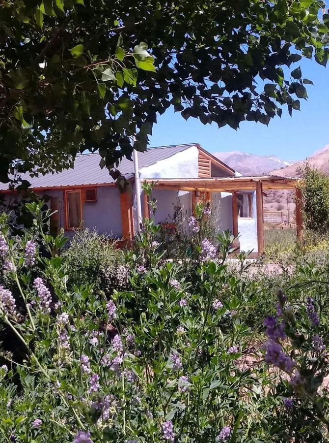 Valle Del Cielo Uspallata Ngoại thất bức ảnh